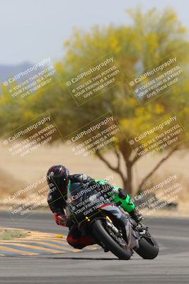 media/Apr-12-2025-Race Pace (Sat) [[9230add55f]]/Vested/6-Turn 4 Tree of Life (115pm)/